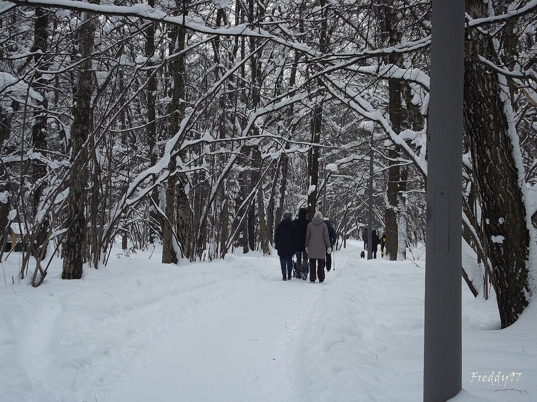 В зимнем парке многолюдно... - Freddy 97