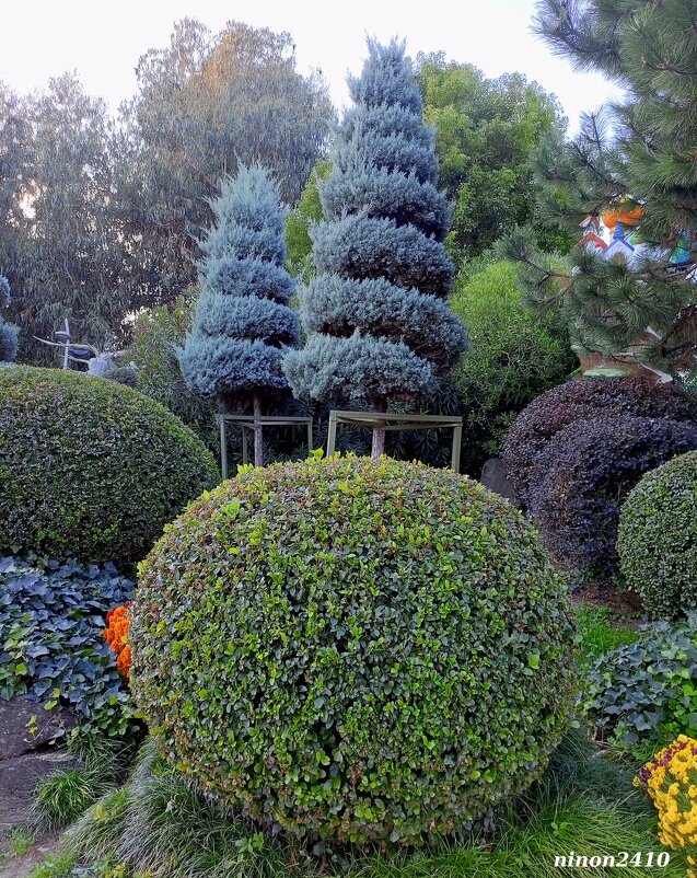 Адлер. Сочи Парк... - Нина Бутко