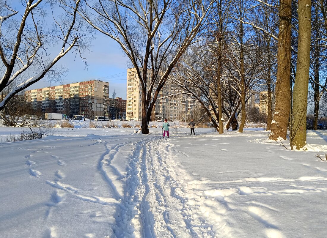 Лыжня зовёт - Мария Васильева
