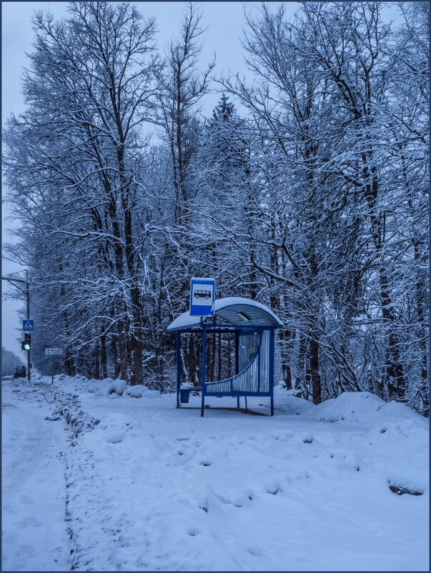 Зимнее утро - Наталья Rosenwasser