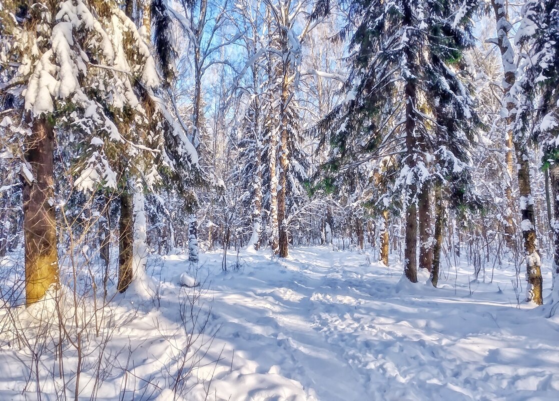 ... - Вячеслав Минаев