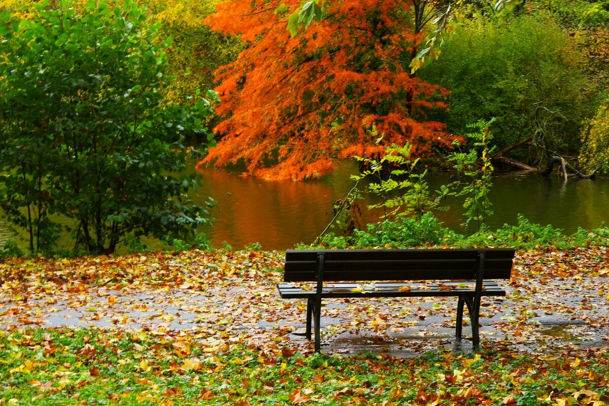 Скамейка с видом на осень - Юрий. Шмаков