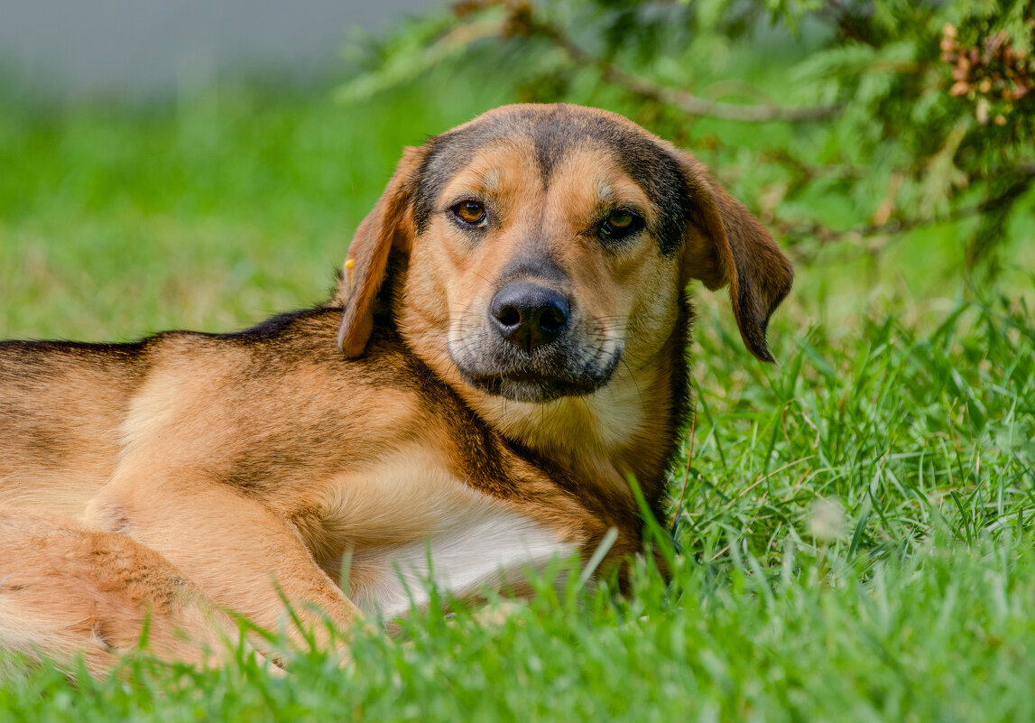 На лужайке - Виктория 