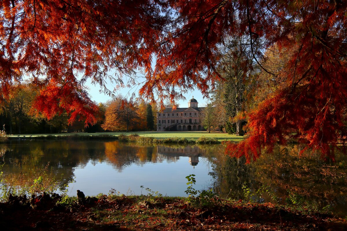 Замок Фаворит,ноябрь - Юрий. Шмаков