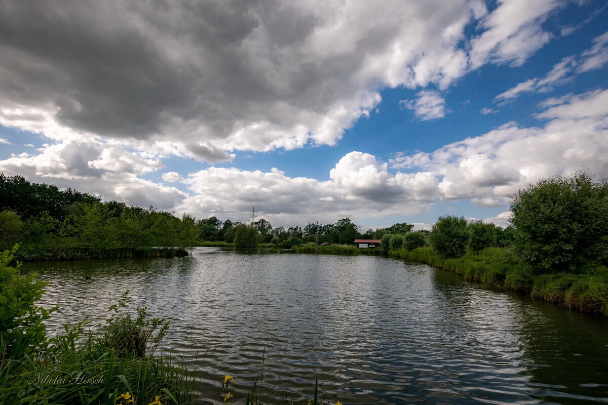В весенний день... - Николай Гирш