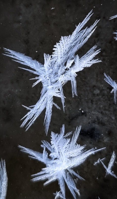 Письма холода - Ольга Косачова