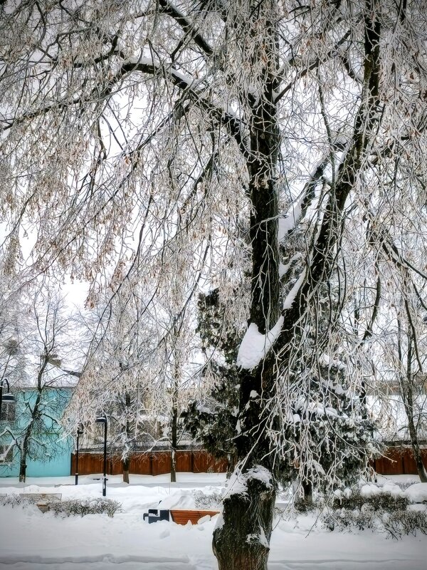 Январский день. - Михаил Столяров