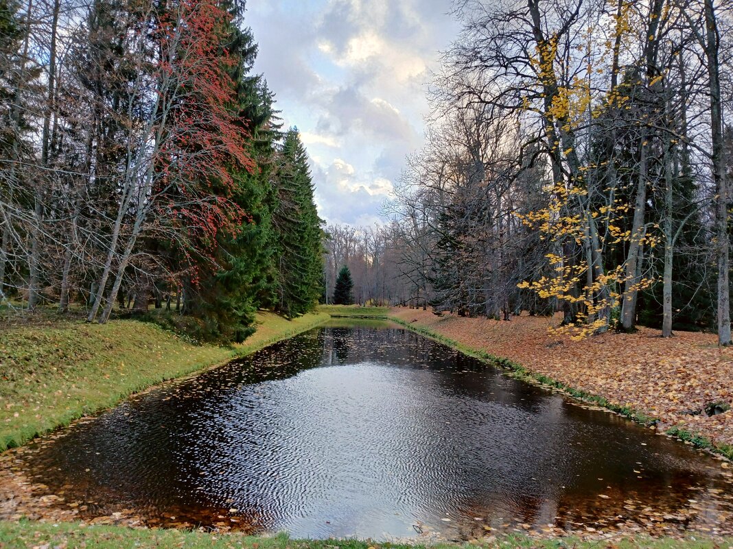 П-образный пруд - Лия ☼ П-образный пруд - Лия ☼