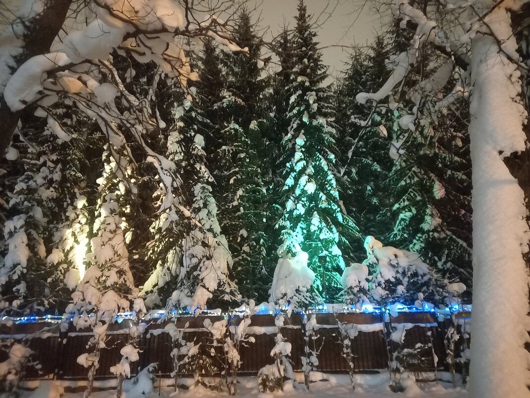 Ёлки - Сапсан 