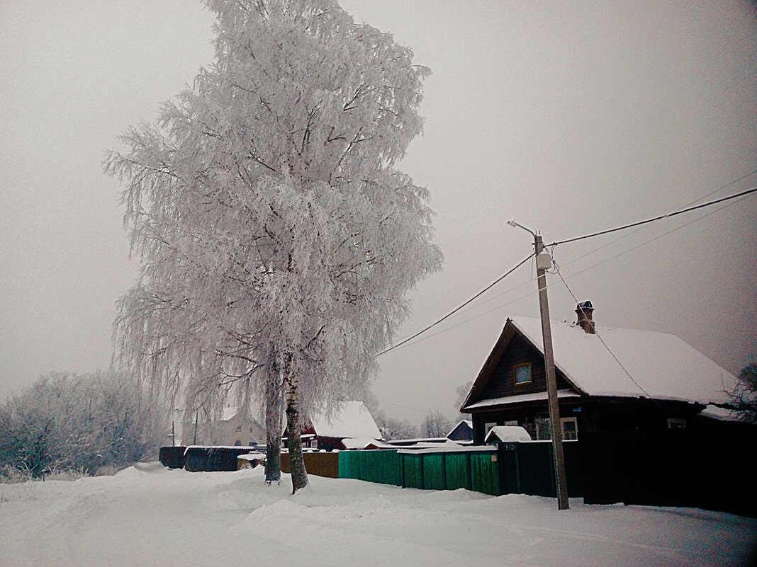Зимний день - Сергей Кочнев