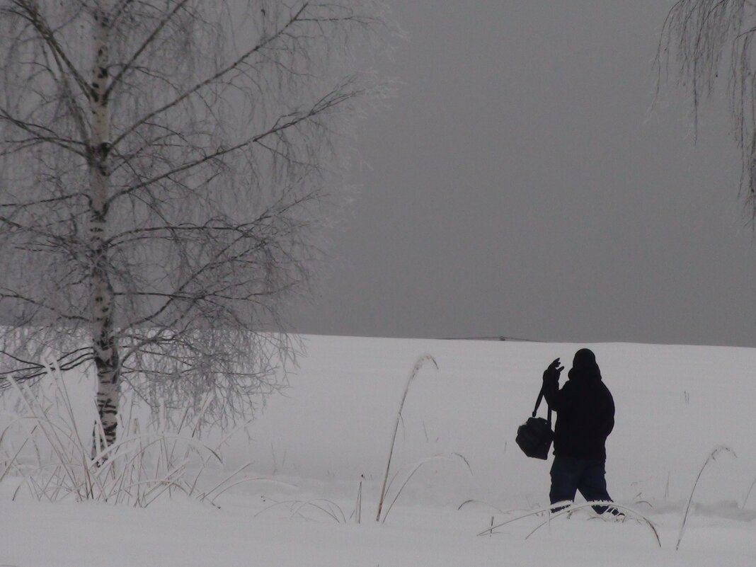 Зимний пейзаж, мужчина идет - fogmeadowww m