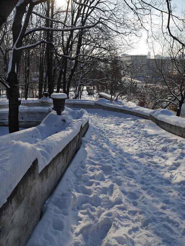 Зимний день - Наталья Rosenwasser