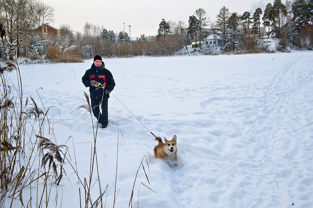 На пруду с Тимошкой... )) - Владимир Хиль На пруду с Тимошкой... )) - Владимир Хиль