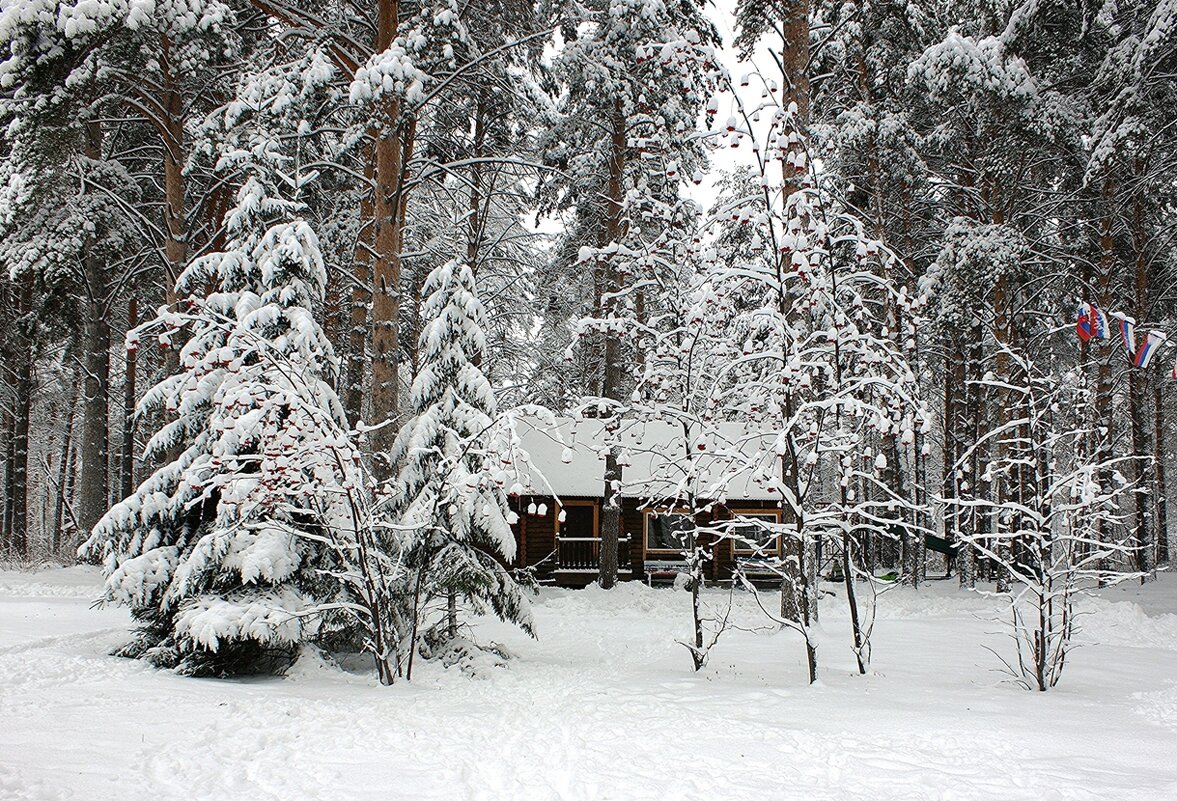 В городском парке - Галина Нестратова В городском парке - Галина Нестратова