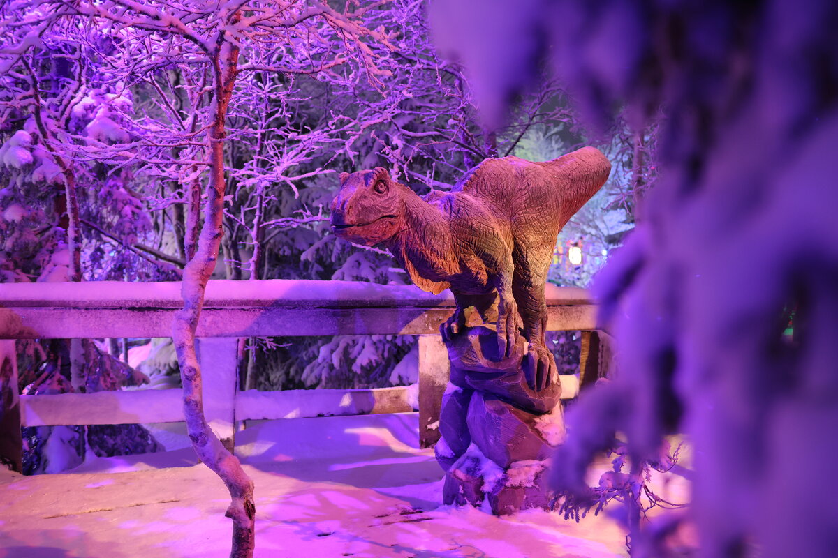 В лесу - Андрей C