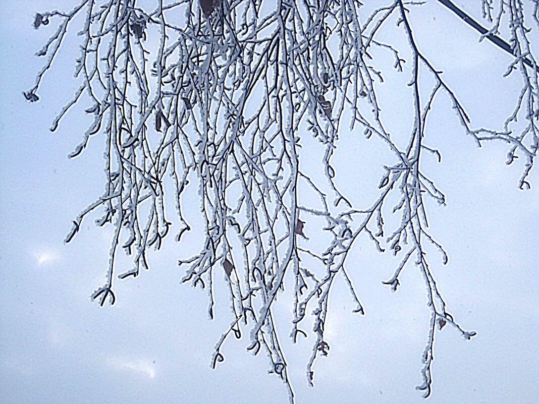Графика на небе - Елена Семигина