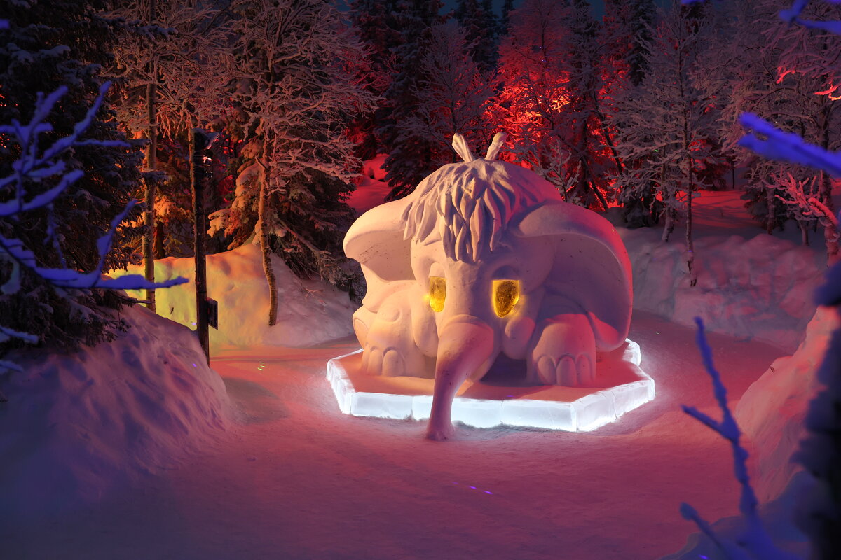 В лесу 2 - Андрей C