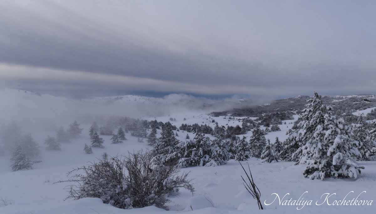 Природа Крыма - Amazing Cosmea Природа Крыма - Amazing Cosmea
