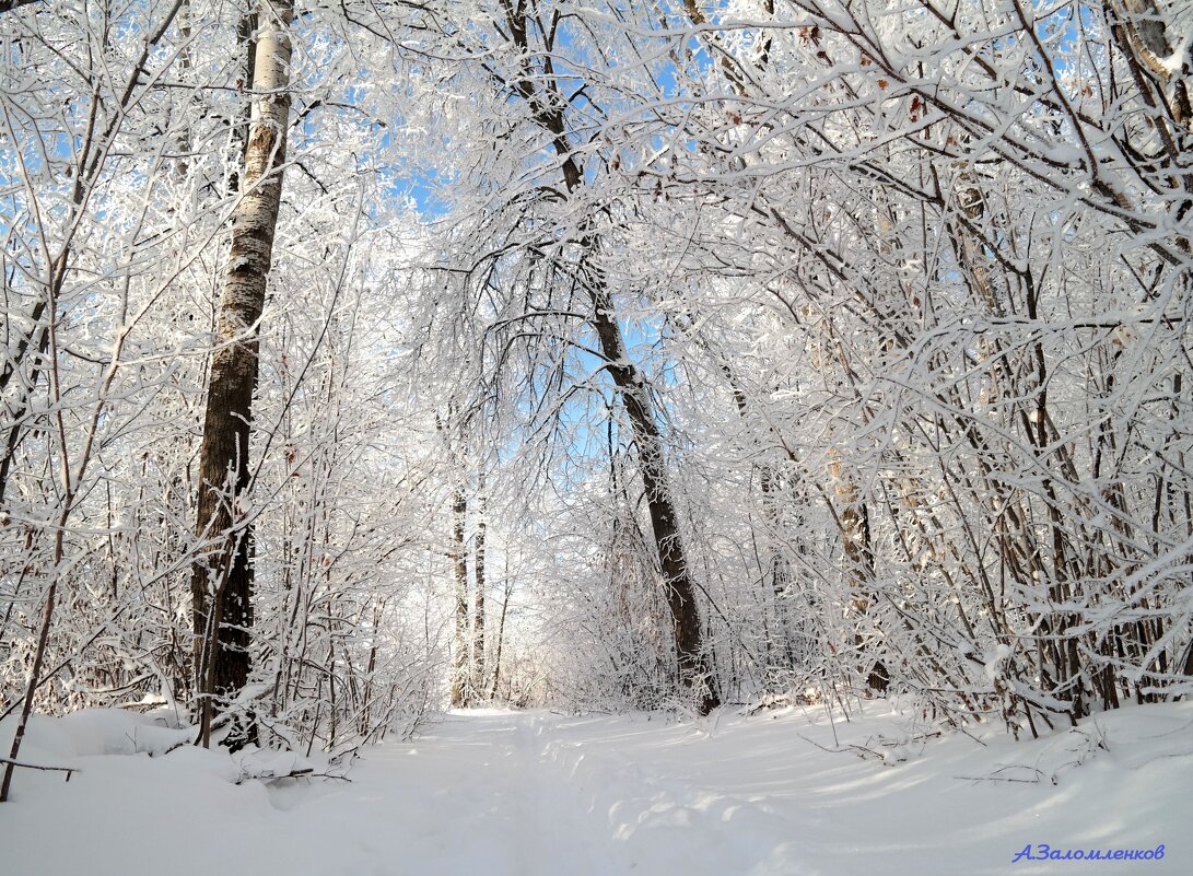 И вот уже январь проходит... - Андрей Заломленков И вот уже январь проходит... - Андрей Заломленков