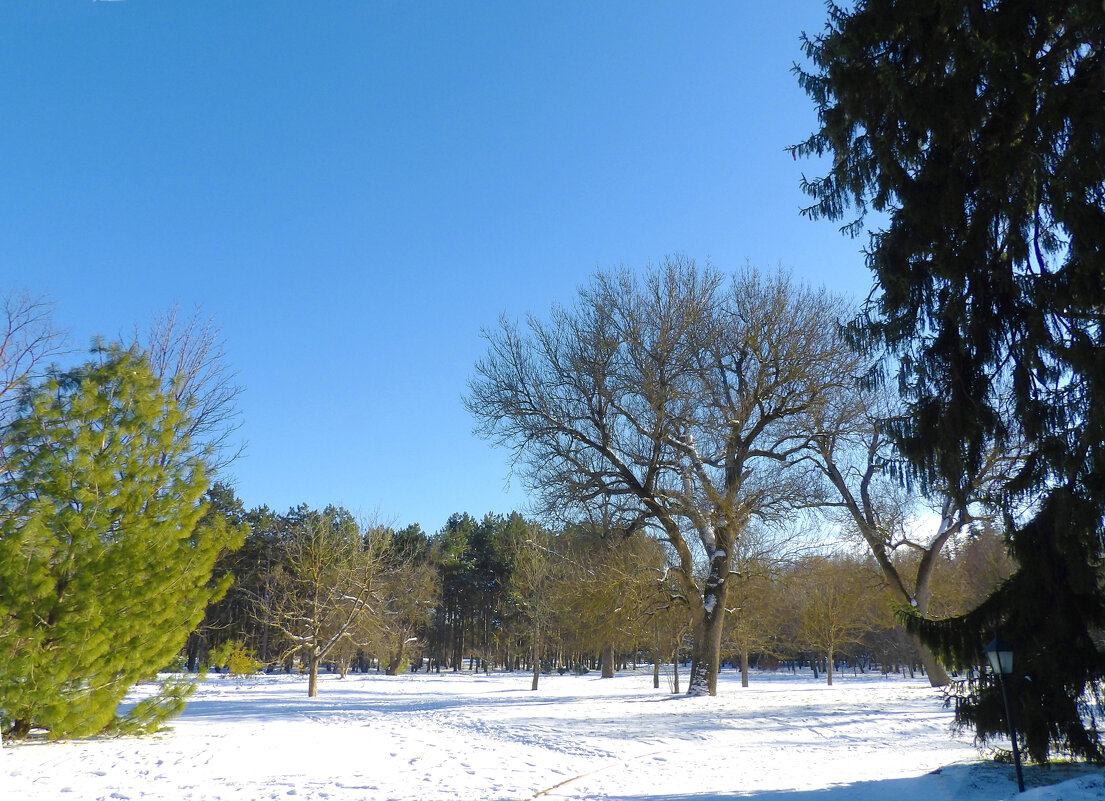 Зимний пейзаж - Валентин Семчишин Зимний пейзаж - Валентин Семчишин