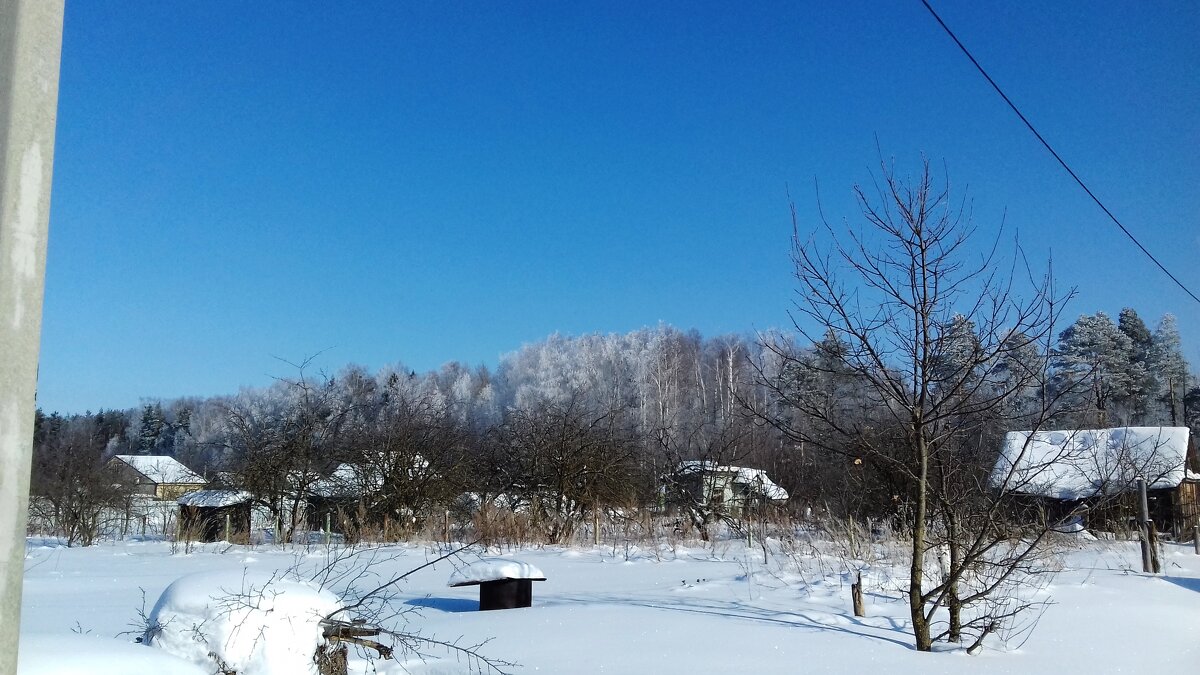 садовые участки зима - Владимир 