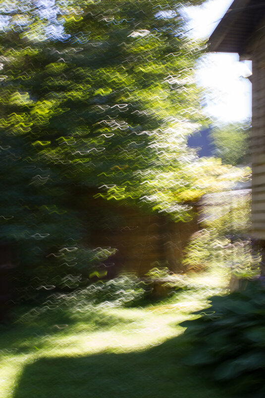 *** - Сергей Полянский