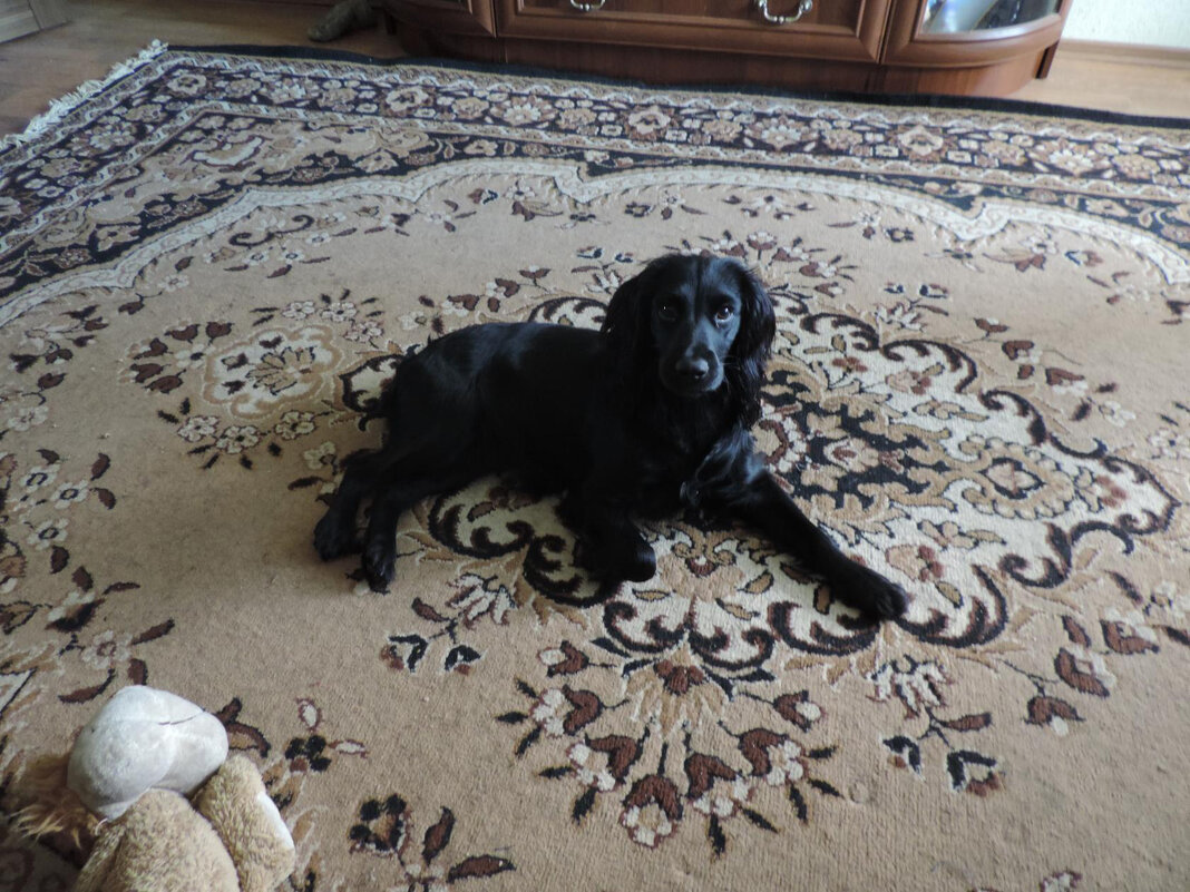 R - Андрей Л. В. R - Андрей Л. В.