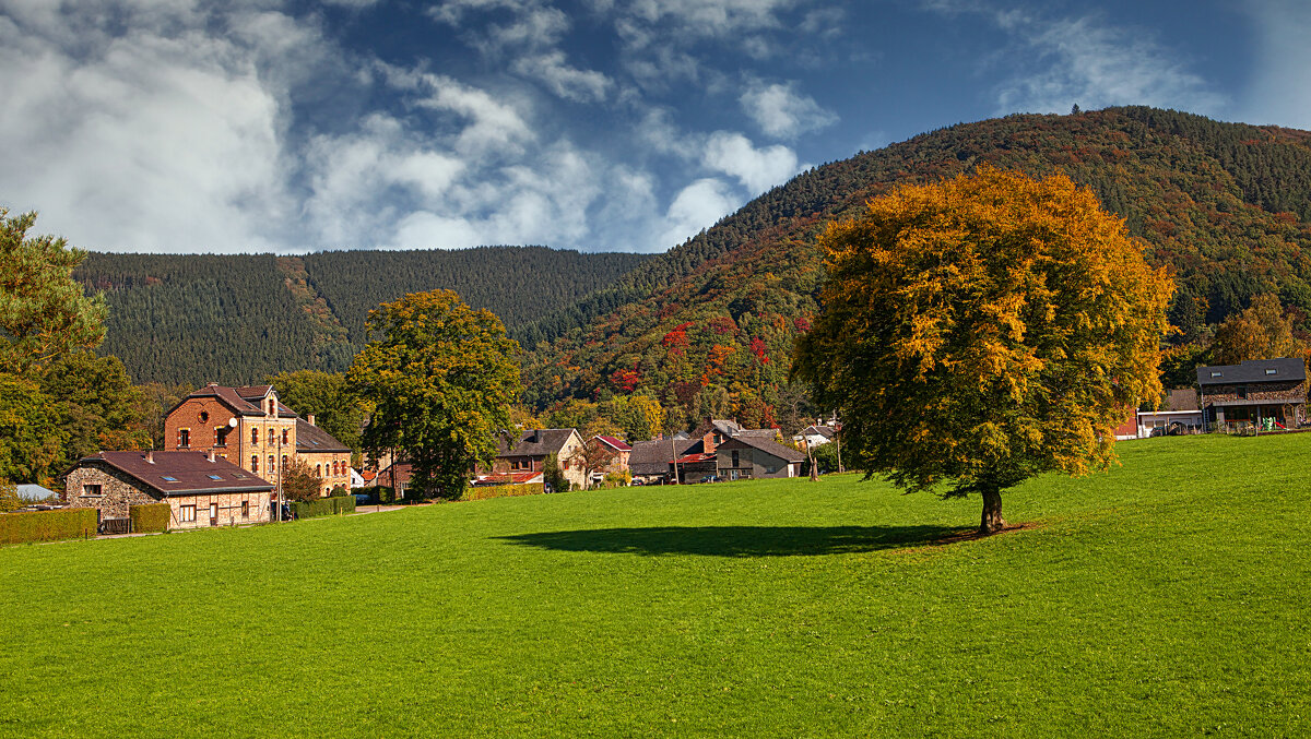 Осенним цветом Айфель зацвели - Valziwa Осенним цветом Айфель зацвели - Valziwa