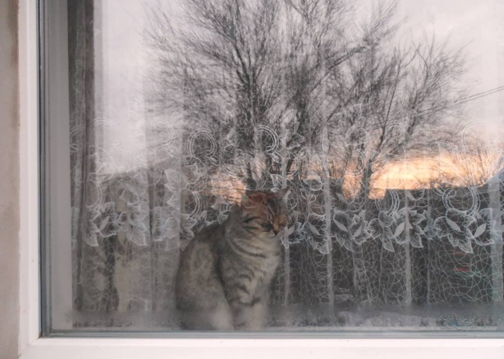 Январское утро - Наталья Январское утро - Наталья