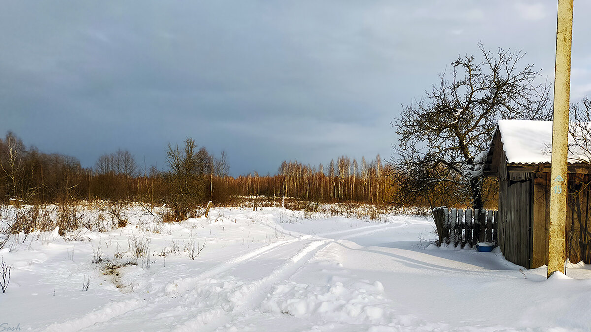 А за околицей лес... - Alex Sash А за околицей лес... - Alex Sash