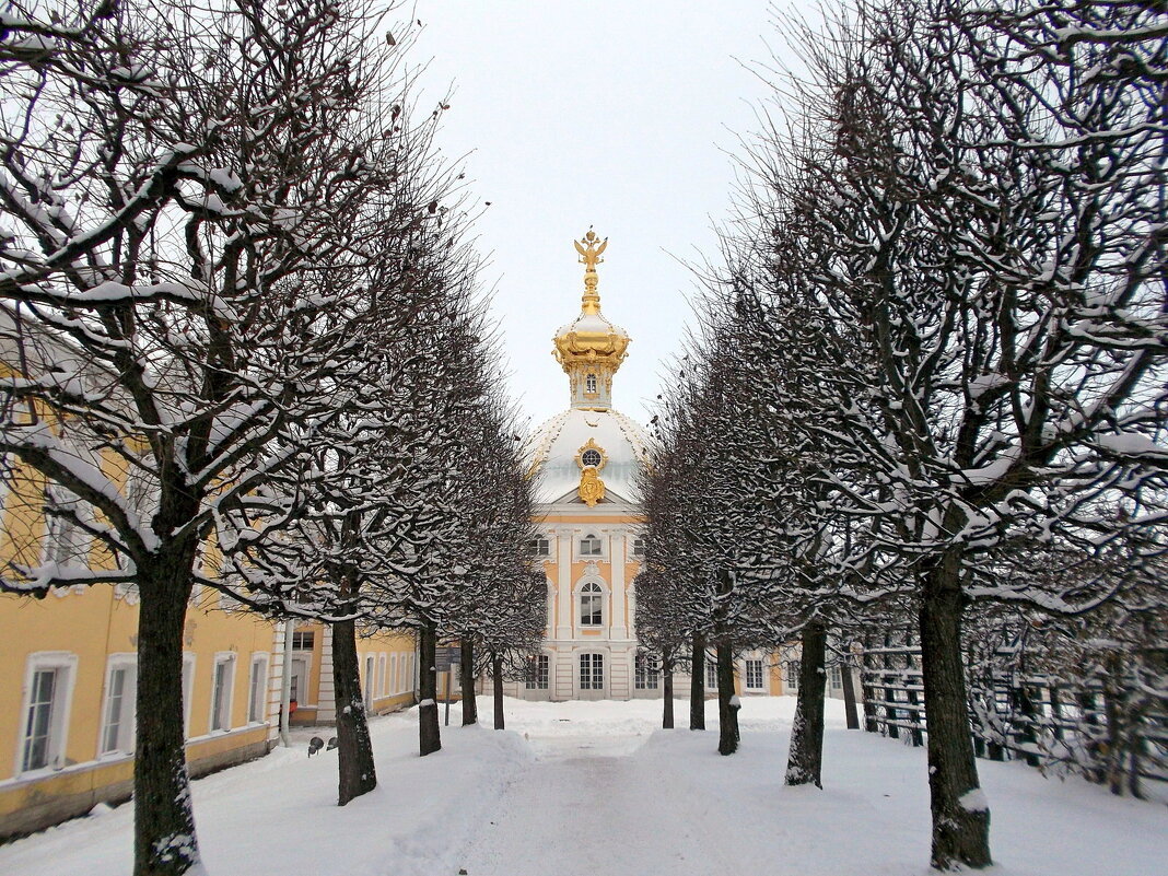 Аллея Верхнего сада. - VasiLina * Аллея Верхнего сада. - VasiLina *