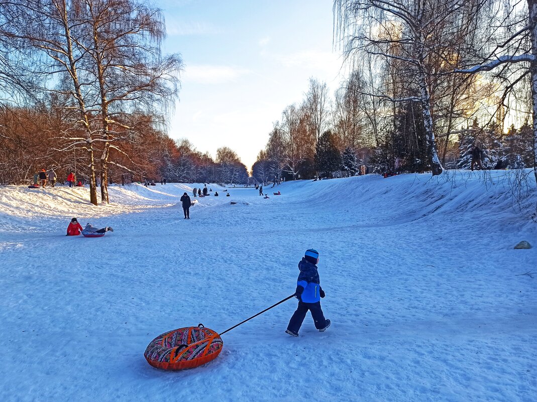 Из прогулки в зимний солнечный день - svk * Из прогулки в зимний солнечный день - svk *