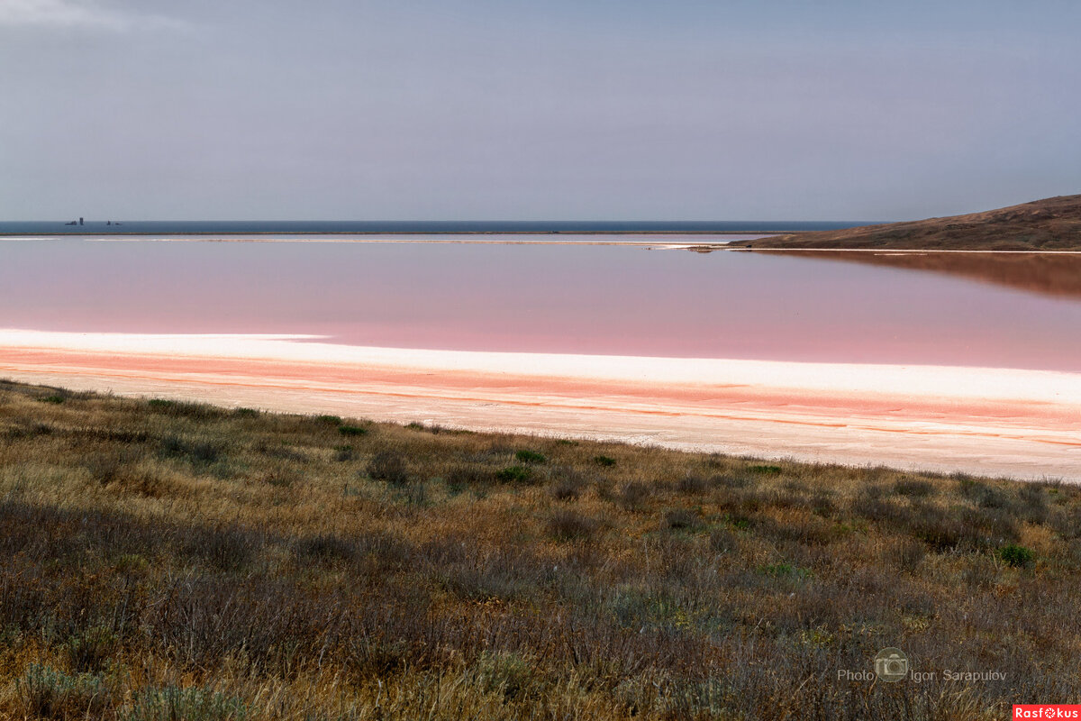 Утро на Кояшском озере - Игорь Сарапулов Утро на Кояшском озере - Игорь Сарапулов