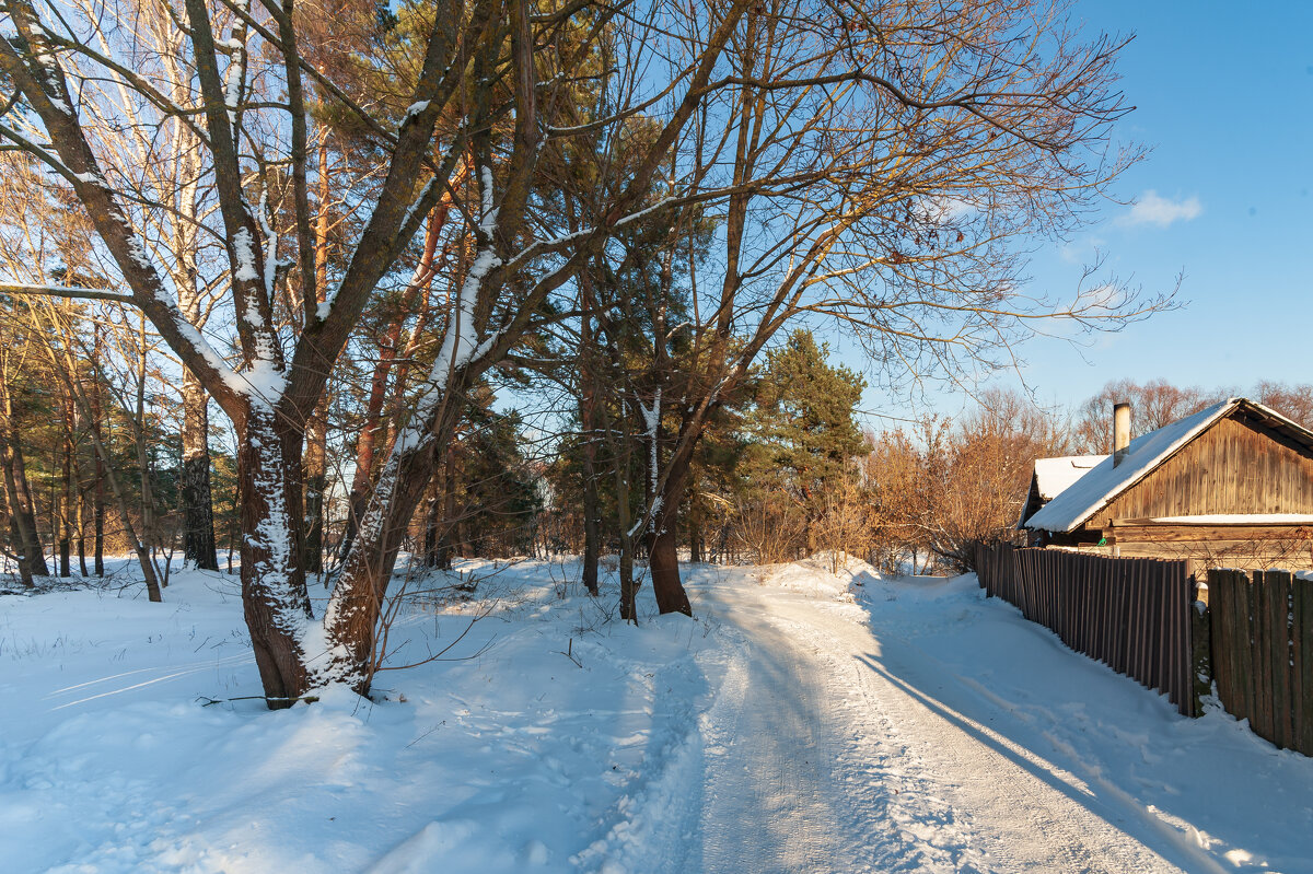 ... - василий ... - василий
