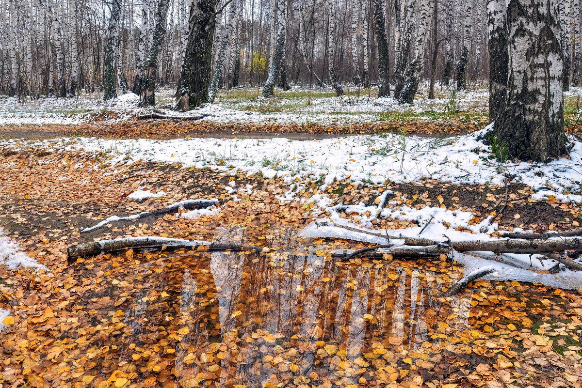 Первый снег - **** vedin Первый снег - **** vedin