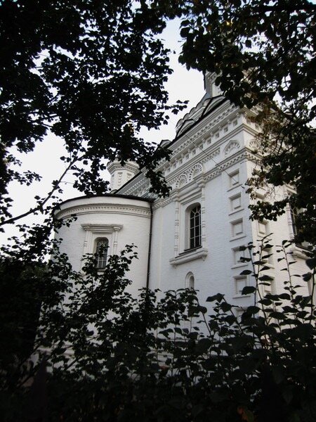 Сквозь ветви.. - Натали 