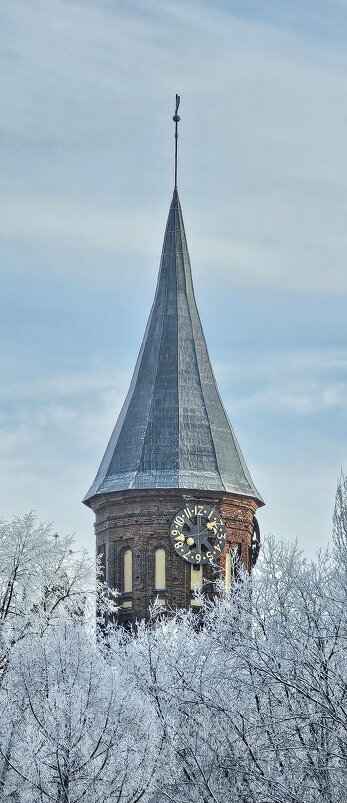 Калининград. Кафедральный собор. - Михаил Свиденцов Калининград. Кафедральный собор. - Михаил Свиденцов