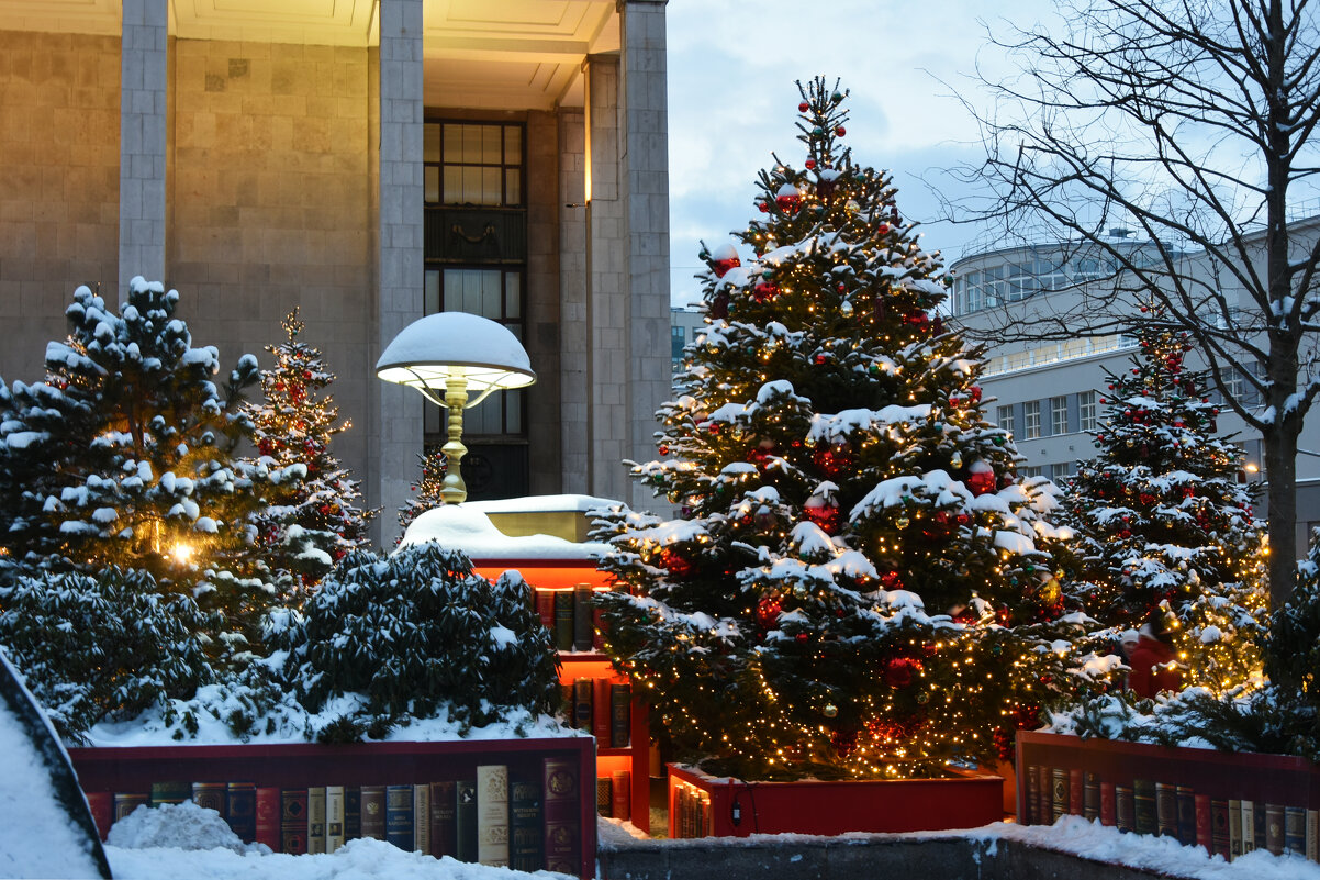 Новогодняя Москва. Путешествие в Рождество 2026. - Наташа ***** Новогодняя Москва. Путешествие в Рождество 2026. - Наташа *****