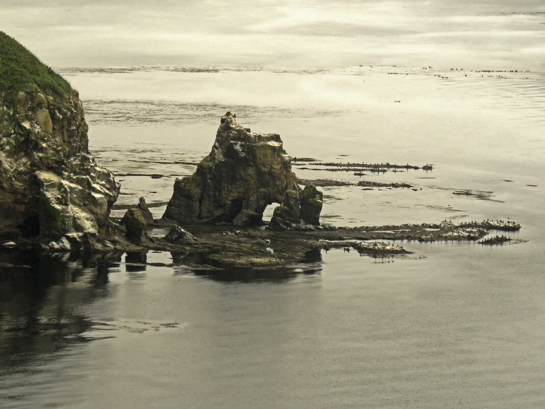 На Охотском море - ИРЭН@ . На Охотском море - ИРЭН@ .