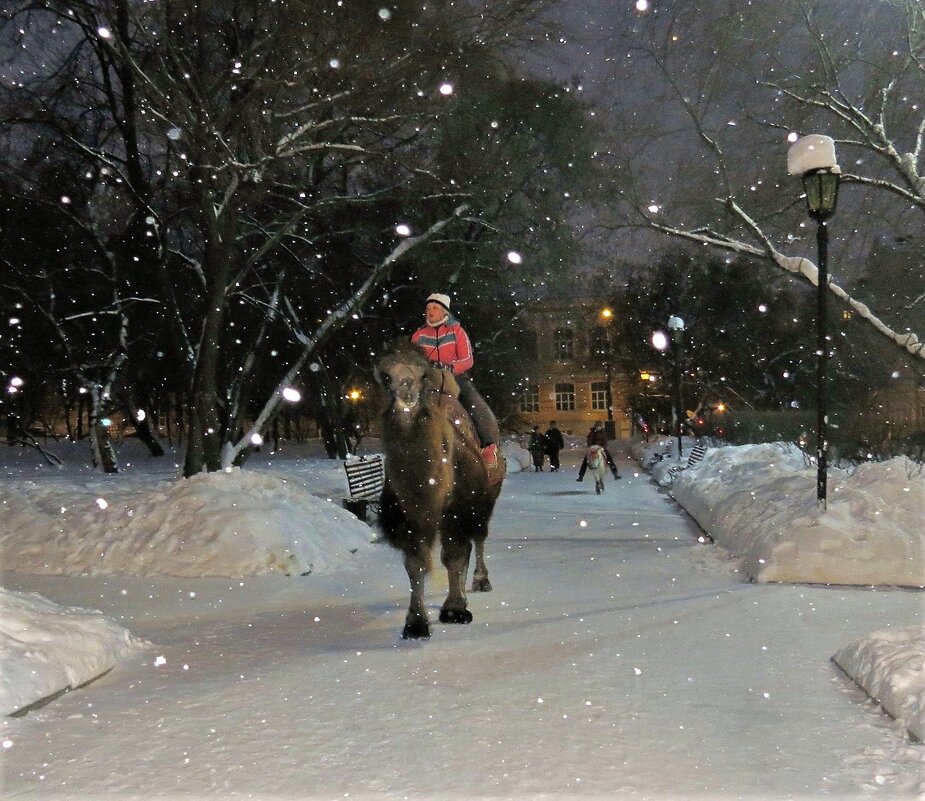 Корабль пустыни в снегах Урала - Лариса С. Корабль пустыни в снегах Урала - Лариса С.