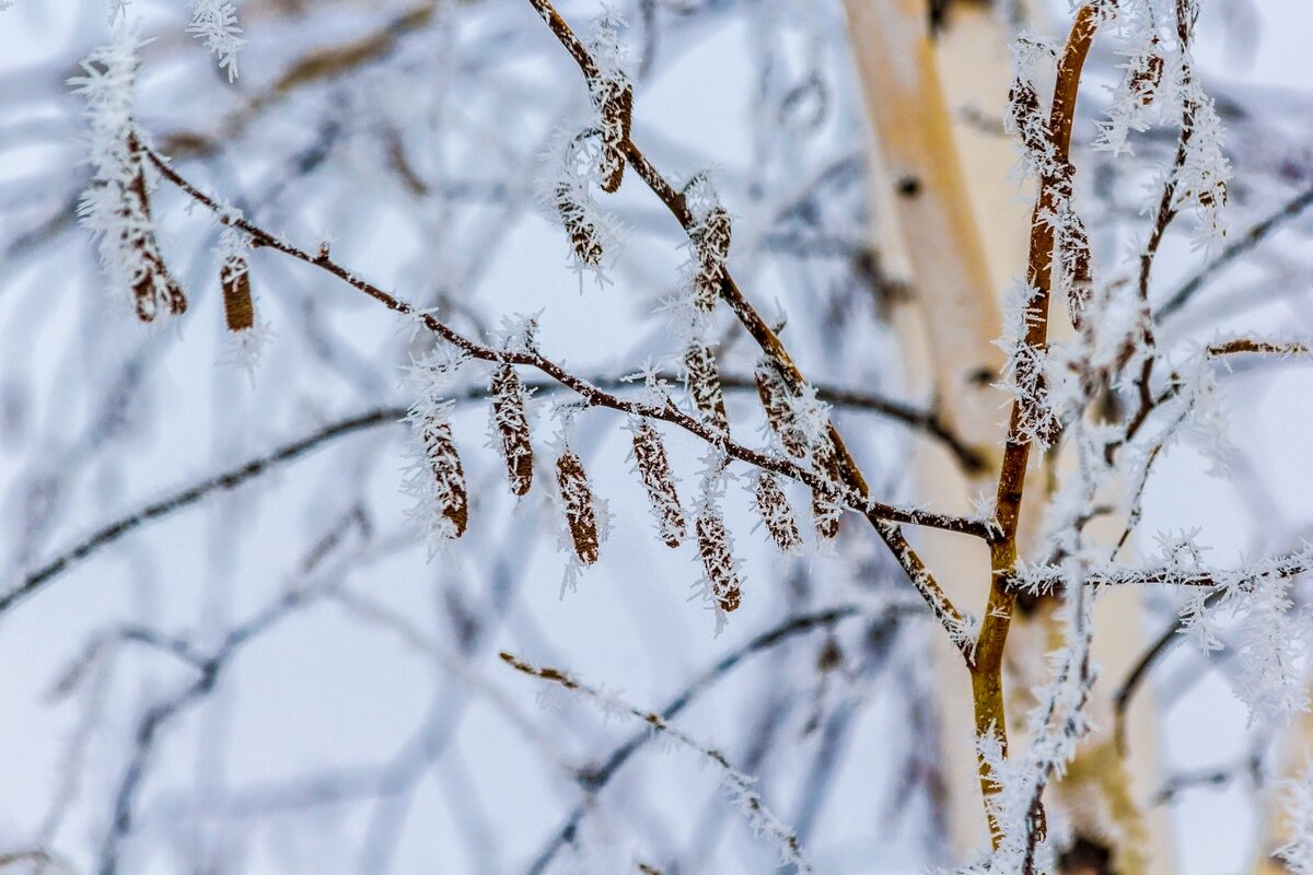 Мир фантазий  .... - Ravile 