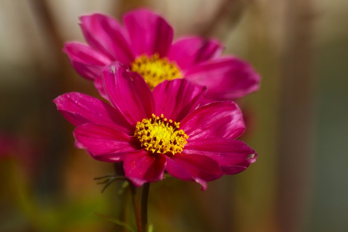 Доброе утро - Юрий. Шмаков