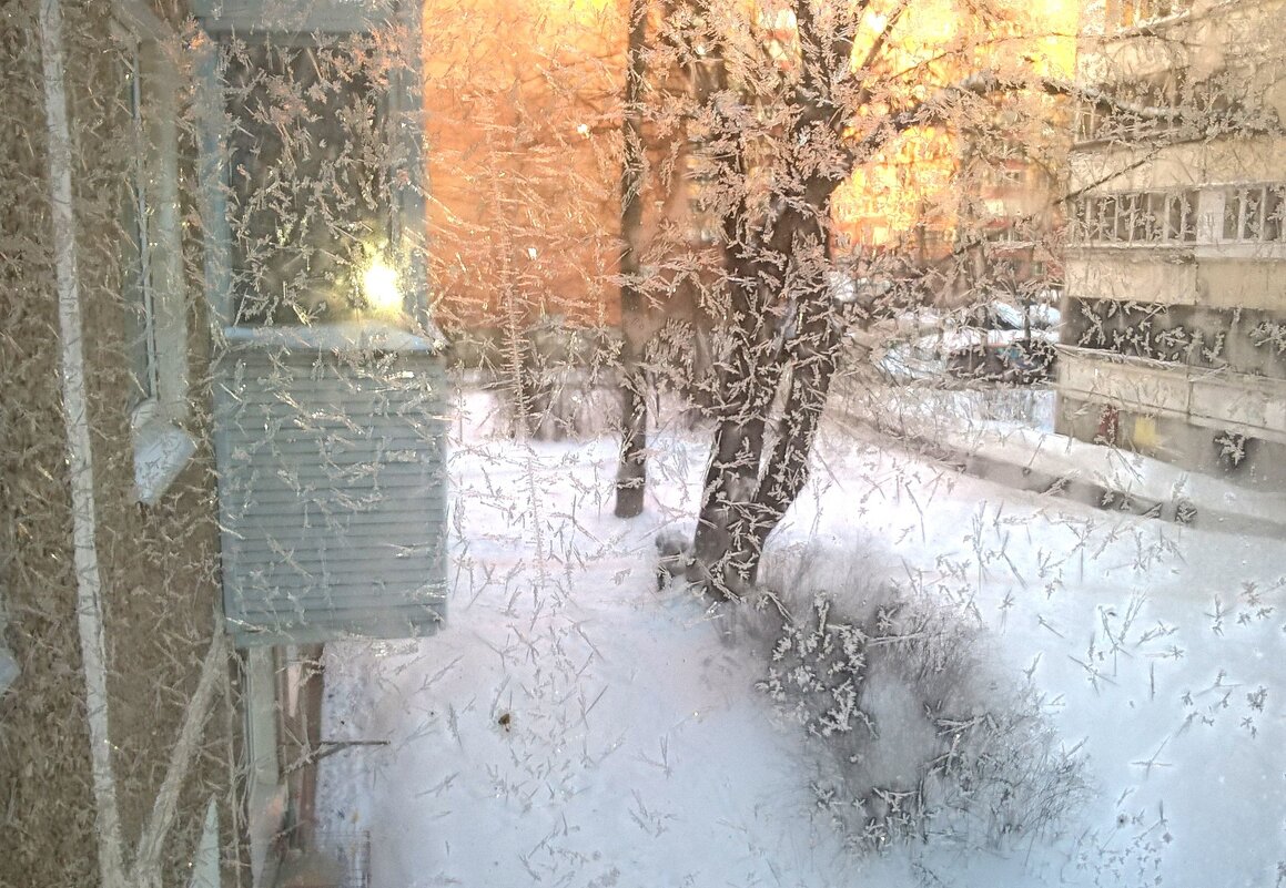 Морозно - Елена Семигина Морозно - Елена Семигина