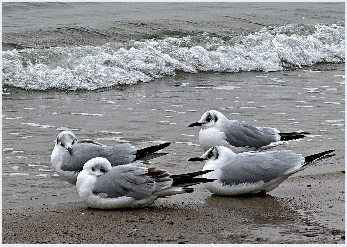 На отдыхе. - Валерия Комова
