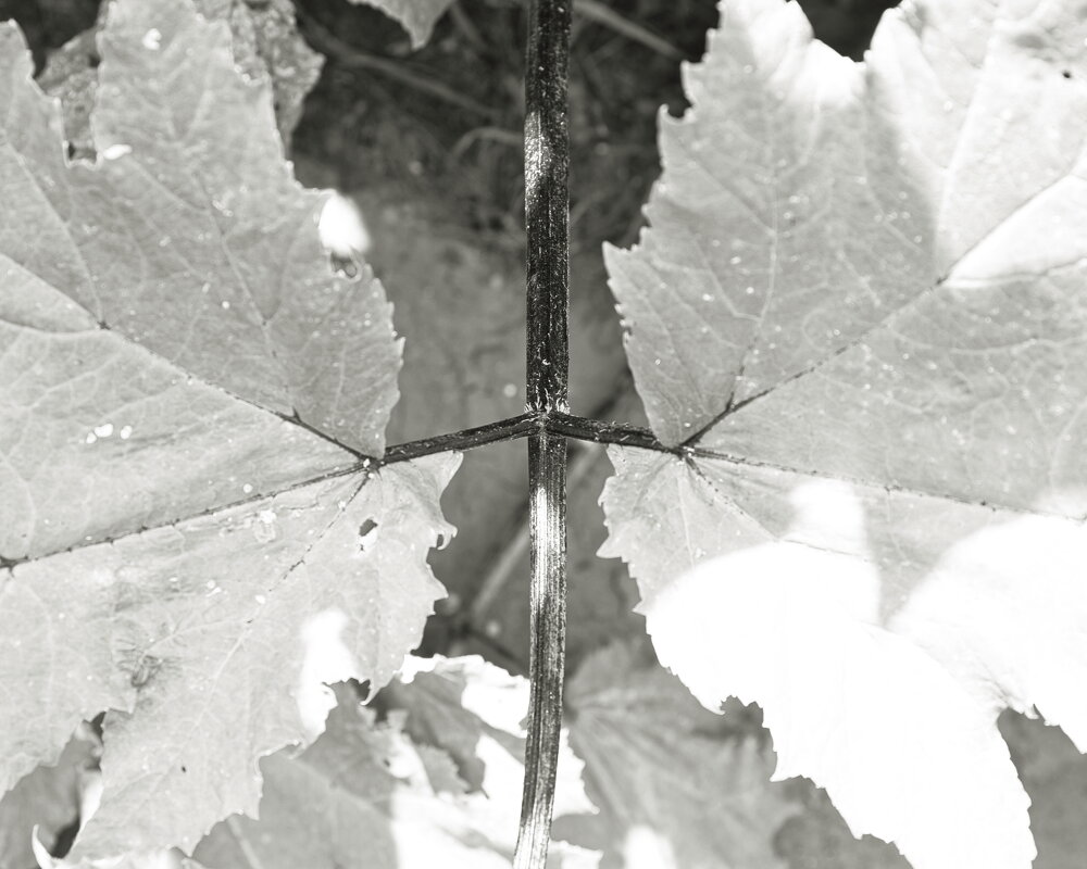 Фотография - Денис Безногов