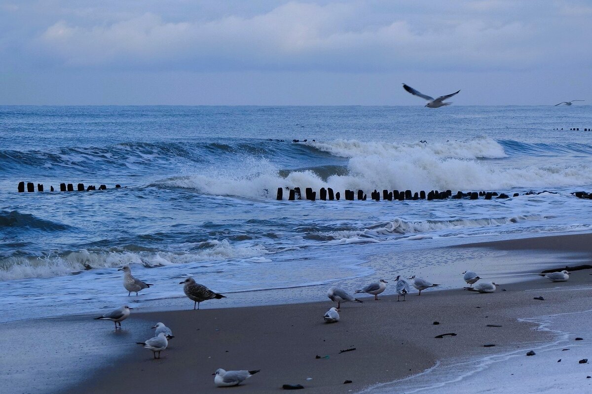 Балтийское море - Рита Симонова