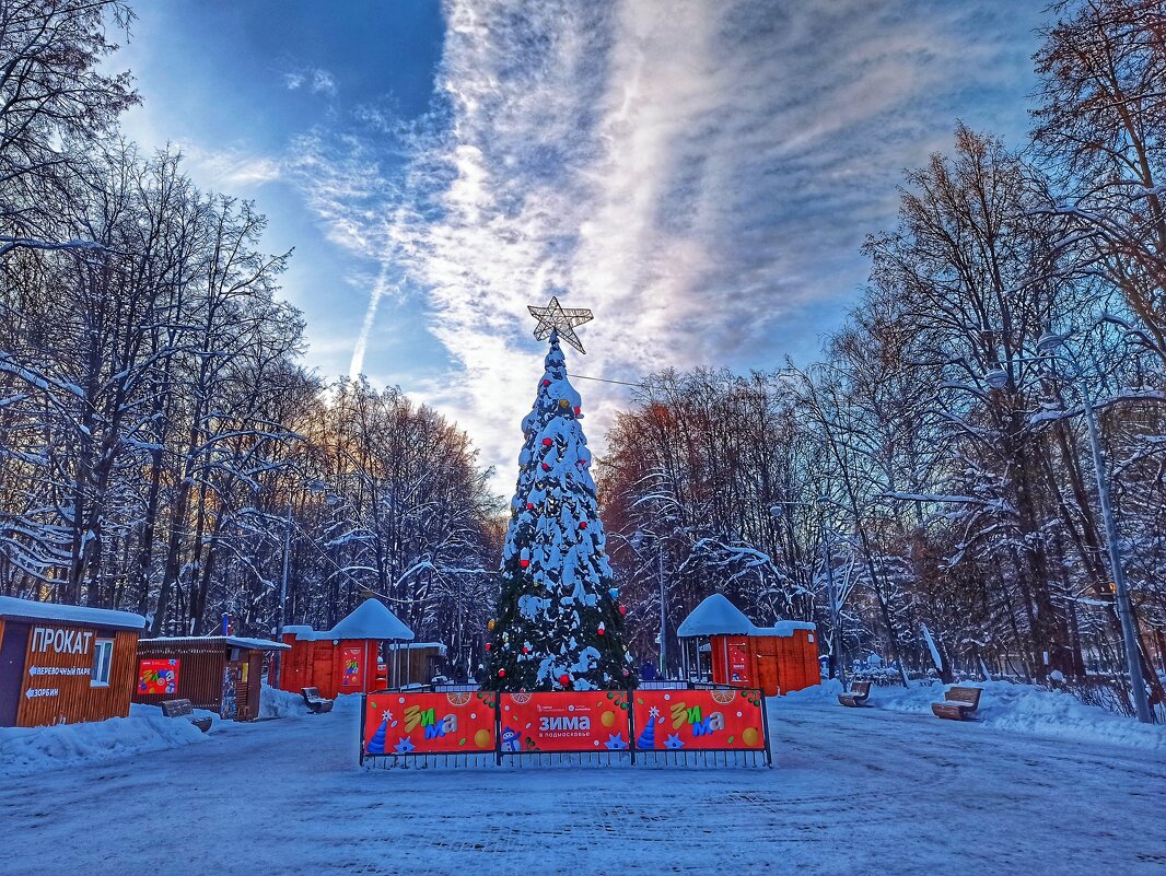 Из прогулки в зимний солнечный день - svk * Из прогулки в зимний солнечный день - svk *