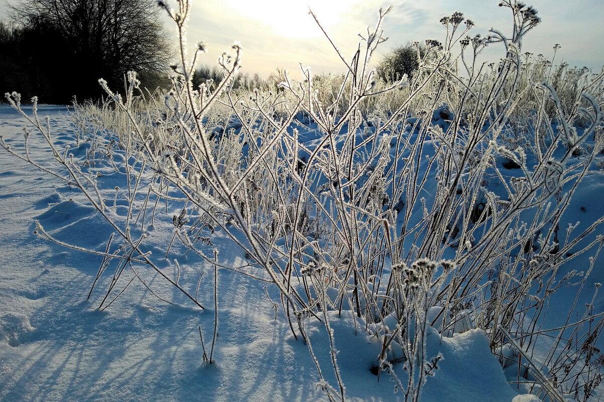 Красота вдоль дороги - В.И Красота вдоль дороги - В.И