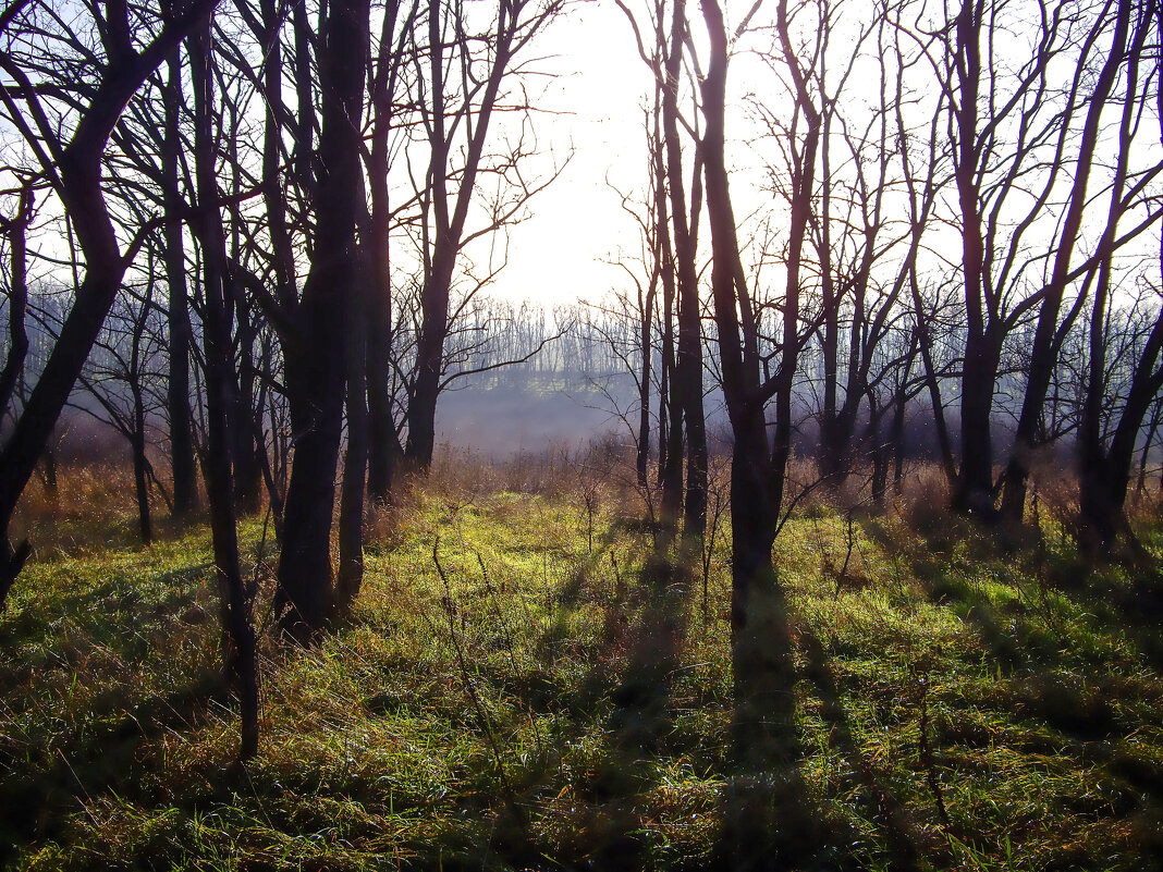 Утро. - Александр. AVG100 --- Утро. - Александр. AVG100 ---