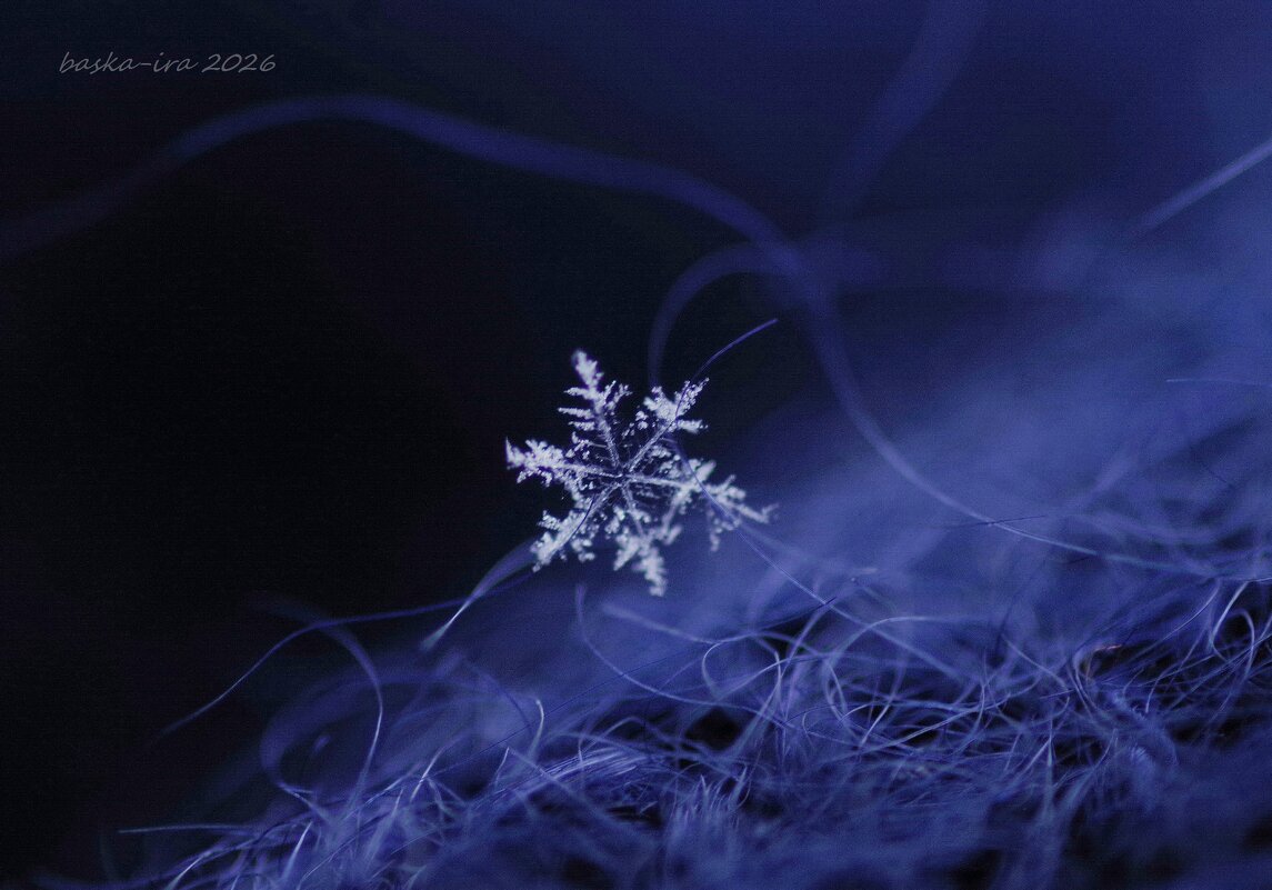 Снежинка - пушинка - Ирина Баскакова Снежинка - пушинка - Ирина Баскакова